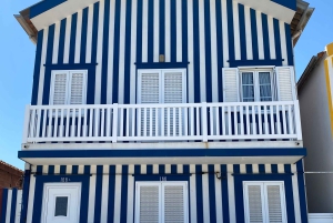 AVEIRO E COSTA NOVA: Private Full-Day Tour w/Boat from Porto