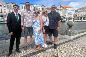 AVEIRO E COSTA NOVA: Private Full-Day Tour w/Boat from Porto