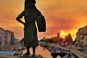 AVEIRO E COSTA NOVA: Private Full-Day Tour w/Boat from Porto