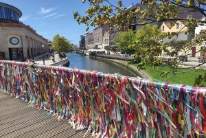 AVEIRO E COSTA NOVA: Private Full-Day Tour w/Boat from Porto