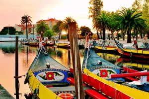 AVEIRO E COSTA NOVA: Private Full-Day Tour w/Boat from Porto