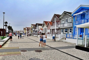 AVEIRO E COSTA NOVA: Private Full-Day Tour w/Boat from Porto