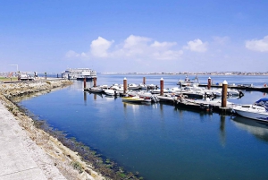 AVEIRO E COSTA NOVA: Private Full-Day Tour w/Boat from Porto