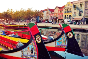 AVEIRO E COSTA NOVA: Private Full-Day Tour w/Boat from Porto