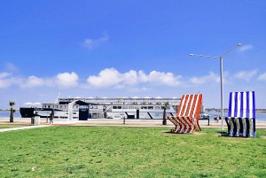 AVEIRO E COSTA NOVA: Private Full-Day Tour w/Boat from Porto