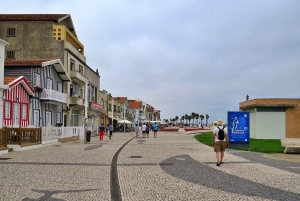 AVEIRO E COSTA NOVA: Private Full-Day Tour w/Boat from Porto