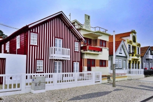 AVEIRO E COSTA NOVA: Private Full-Day Tour w/Boat from Porto