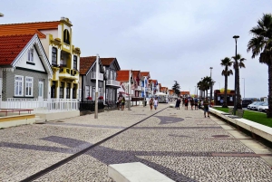 AVEIRO E COSTA NOVA: Private Full-Day Tour w/Boat from Porto