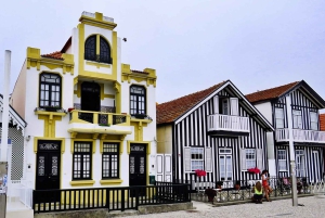 AVEIRO E COSTA NOVA: Private Full-Day Tour w/Boat from Porto