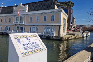 AVEIRO E COSTA NOVA: Private Full-Day Tour w/Boat from Porto