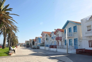 AVEIRO E COSTA NOVA: Private Full-Day Tour w/Boat from Porto