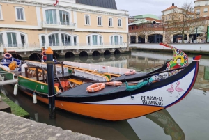 AVEIRO E COSTA NOVA: Private Full-Day Tour w/Boat from Porto