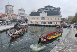 AVEIRO E COSTA NOVA: Private Full-Day Tour w/Boat from Porto