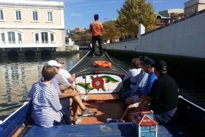 AVEIRO E COSTA NOVA: Private Full-Day Tour w/Boat from Porto