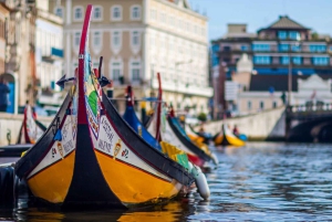 AVEIRO E COSTA NOVA: Private Full-Day Tour w/Boat from Porto
