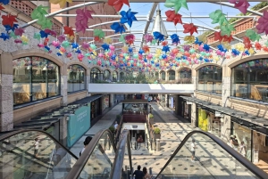 AVEIRO E COSTA NOVA: Private Full-Day Tour w/Boat from Porto