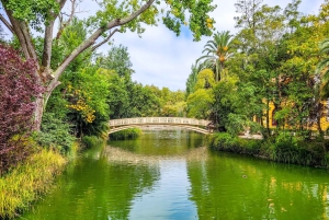 Aveiro: Gondelfahrt und Strand von Costa Nova – alles inklusive.
