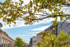 Aveiro: Gondelfahrt und Strand von Costa Nova – alles inklusive.