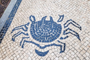 Aveiro: Gondelfahrt und Strand von Costa Nova – alles inklusive.