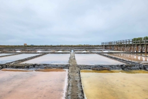Aveiro: Gondelfahrt und Strand von Costa Nova – alles inklusive.