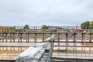 Aveiro: Gondelfahrt und Strand von Costa Nova – alles inklusive.