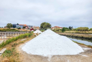 Aveiro: Gondelfahrt und Strand von Costa Nova – alles inklusive.
