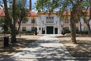 Aveiro : balade en gondole et plage de Costa Nova – tout compris.