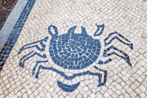 Aveiro : balade en gondole et plage de Costa Nova – tout compris.