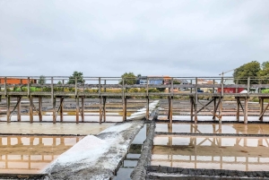 Aveiro : balade en gondole et plage de Costa Nova – tout compris.