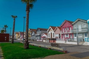 Aveiro: Halvdagsutflukt fra Porto med valgfri båttur