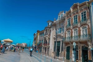 Aveiro: Halvdagsutflukt fra Porto med valgfri båttur