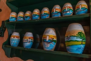 Aveiro: Halvdagsutflukt fra Porto med valgfri båttur