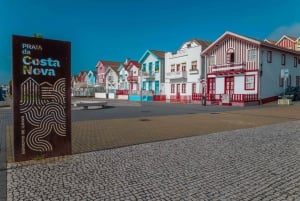 Aveiro: Halvdagsutflukt fra Porto med valgfri båttur