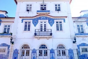 Aveiro : Visite d'une demi-journée avec tour en bateau