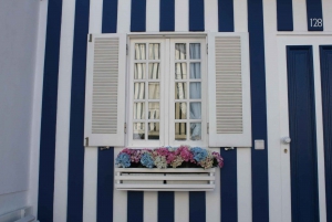 Aveiro : Visite d'une demi-journée avec tour en bateau