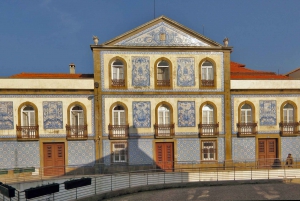 Aveiro : Visite d'une demi-journée avec tour en bateau