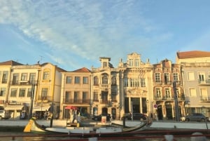 Aveiro : Visite d'une demi-journée avec tour en bateau