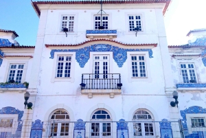 Aveiro: Półdniowa wycieczka z rejsem statkiem