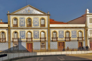 Aveiro: Półdniowa wycieczka z rejsem statkiem