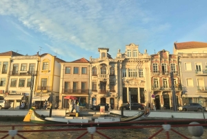 Aveiro: Półdniowa wycieczka z rejsem statkiem