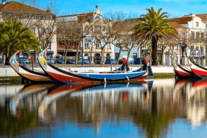 Aveiro privat transfer till/från Portos flygplats