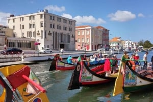 Tour di Aveiro (4 ore): da Oporto; tour della città - gita di mezza giornata