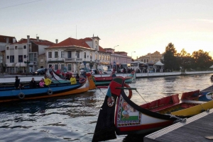 Tour di Aveiro (4 ore): da Oporto; tour della città - gita di mezza giornata