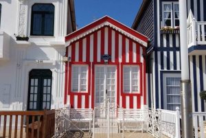 Tour di Aveiro (4 ore): da Oporto; tour della città - gita di mezza giornata