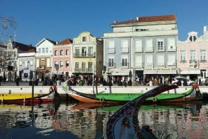 Tour di Aveiro (4 ore): da Oporto; tour della città - gita di mezza giornata