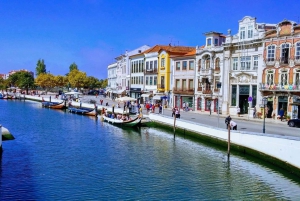 Tour di Aveiro (4 ore): da Oporto; tour della città - gita di mezza giornata