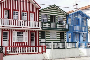 Tour di Aveiro (4 ore): da Oporto; tour della città - gita di mezza giornata