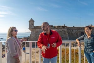 Tour guidato Il meglio di Porto: Crociera e degustazione di vini