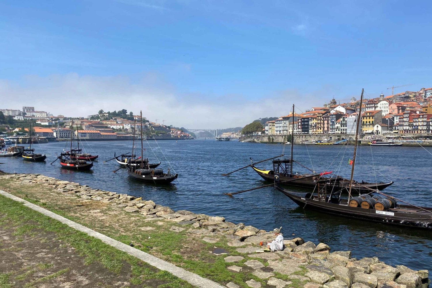 Lo Mejor de Oporto - Tour Privado desde Lisboa