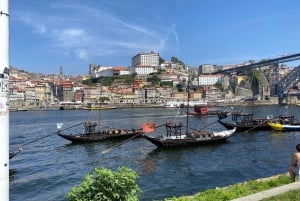 Le meilleur de Porto - Visite privée depuis Lisbonne